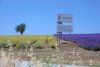 The plant nursery and cultivations of Gresense