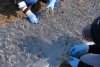 Plant Propagation Material